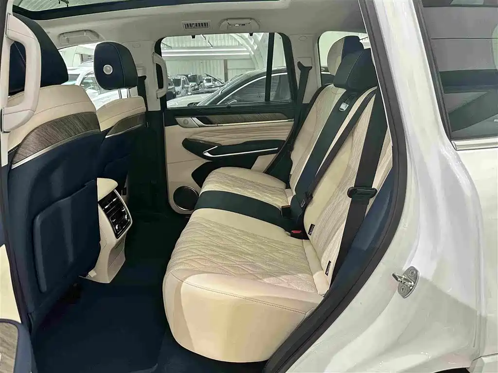 Tank 500 2022 2022 3.0T Business Edition Zaojing 5-Seater