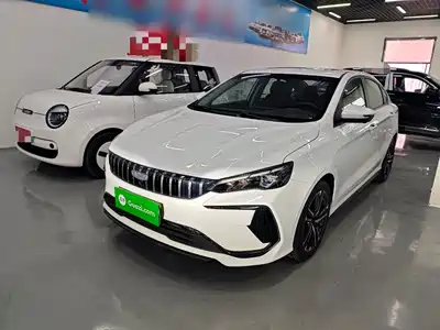 Geely Binrui