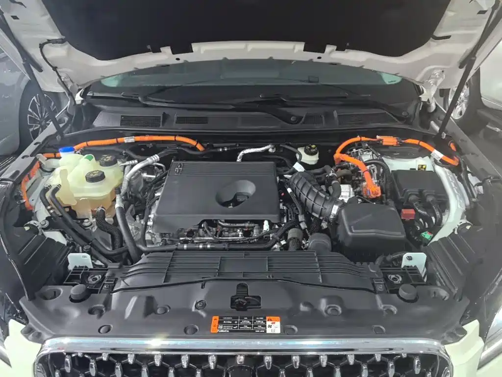 Lincoln Adventurer NEV 2022 2021 PHEV AWD e-Elegance Edition