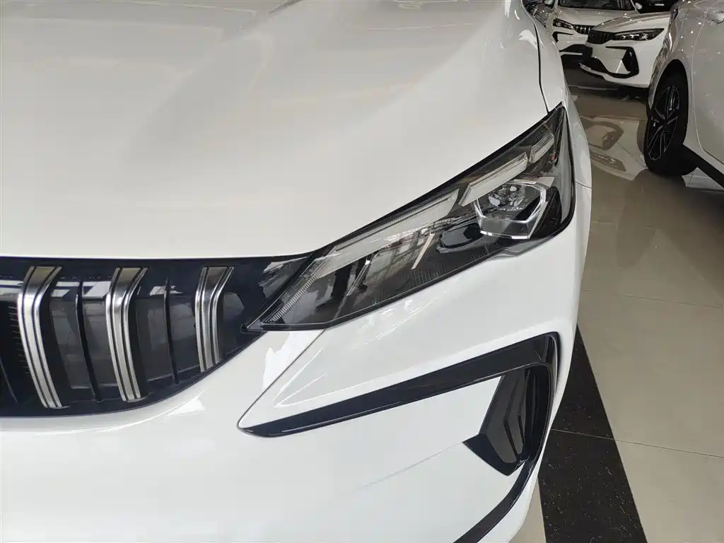 Geely Binrui 2026 2024 Binrui COOL 1.5T DCT Soaring Dragon Edition