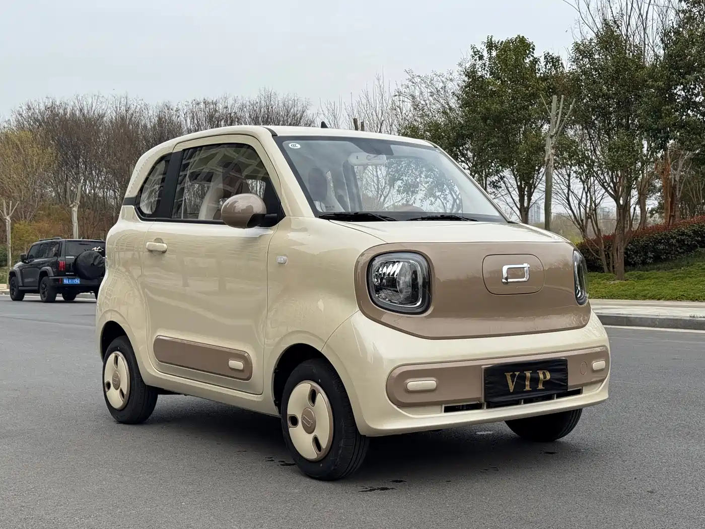 BESTUNE PENTIUM PONY