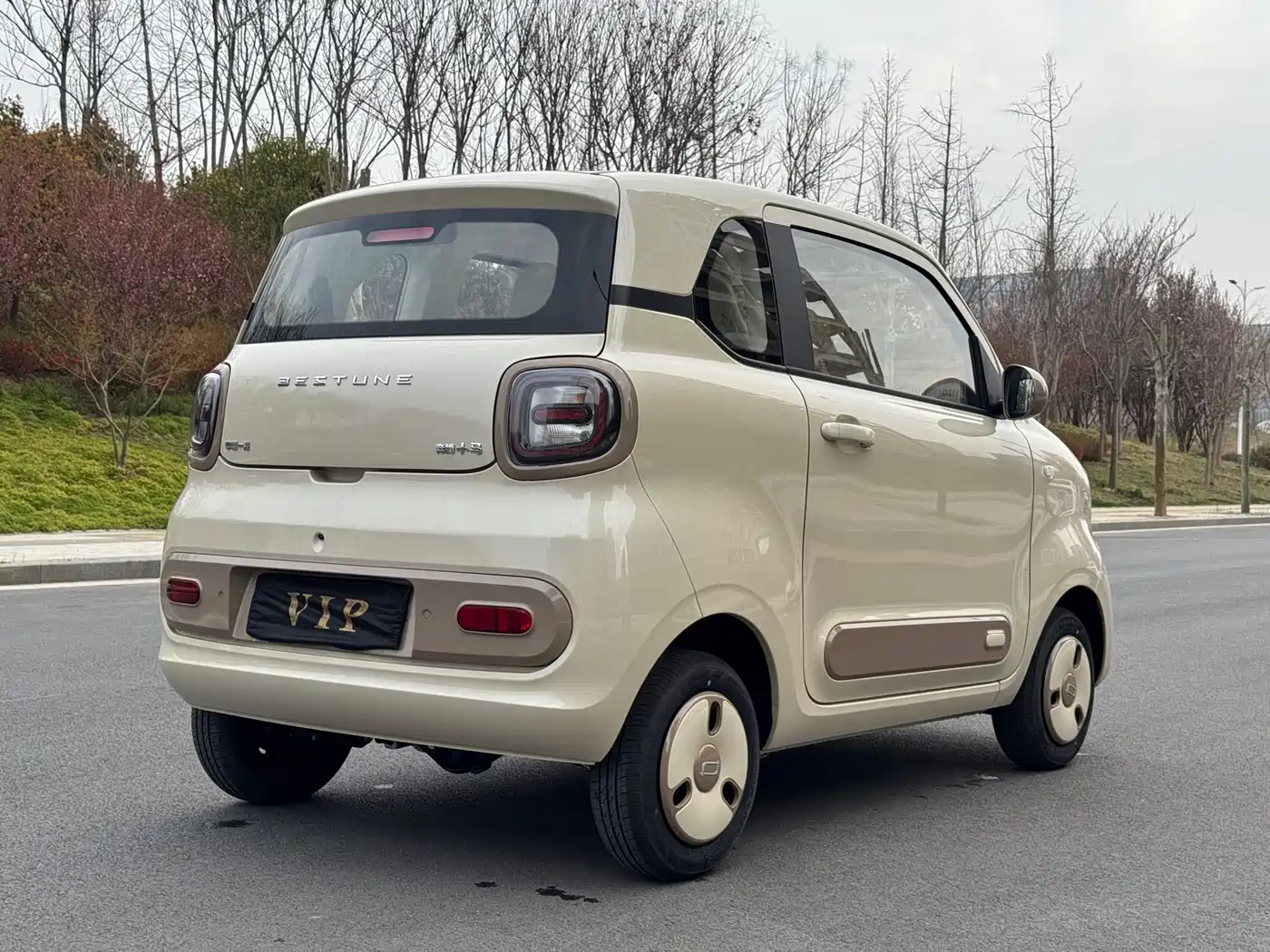 BESTUNE PENTIUM PONY