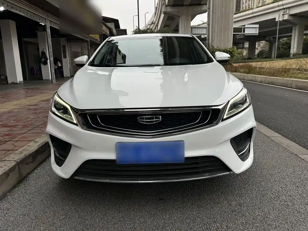 Фото 21 - Geely Binrui