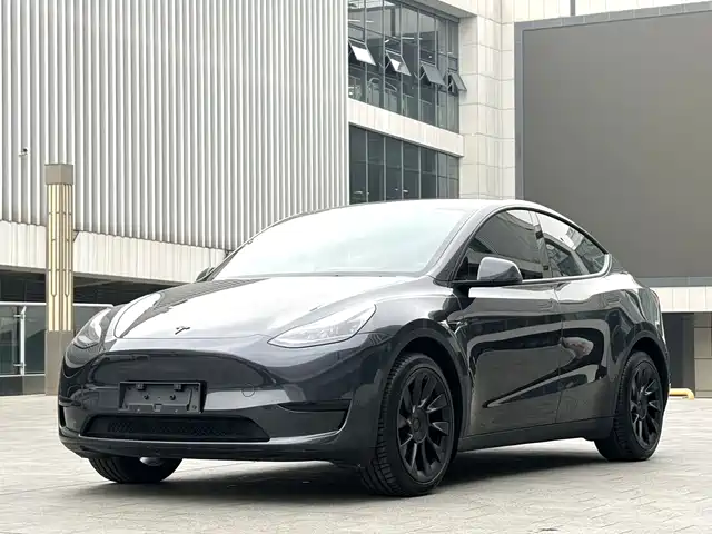Tesla Model Y 2024 Rear-Wheel Drive Version