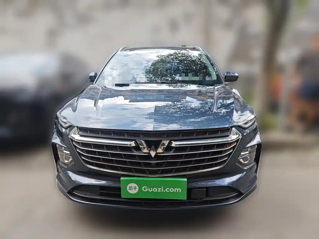 Фото 2 - Wuling Motors Wuling Victory