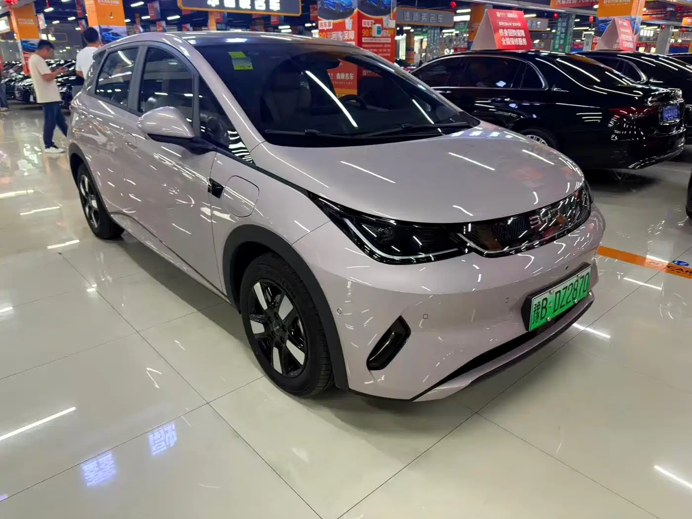 BYD DOLPHIN