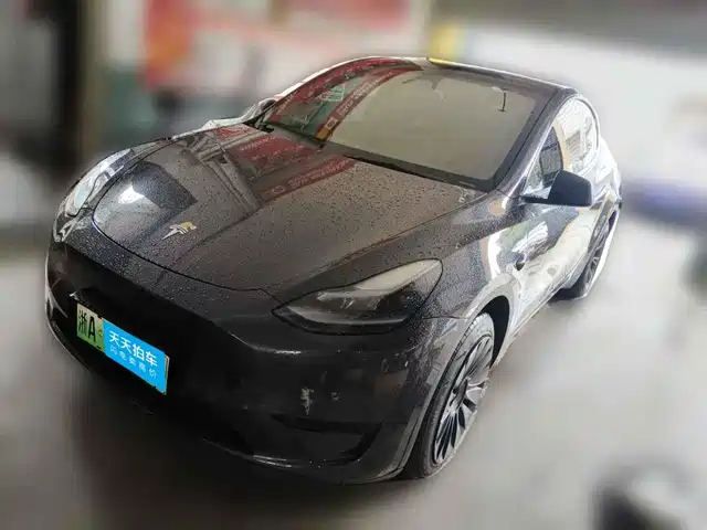 Tesla Model Y 2024 Rear-Wheel Drive Version — фото 1
