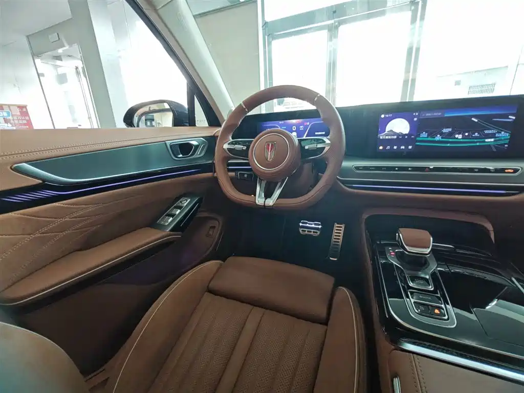 صورة 15 - Hongqi H9