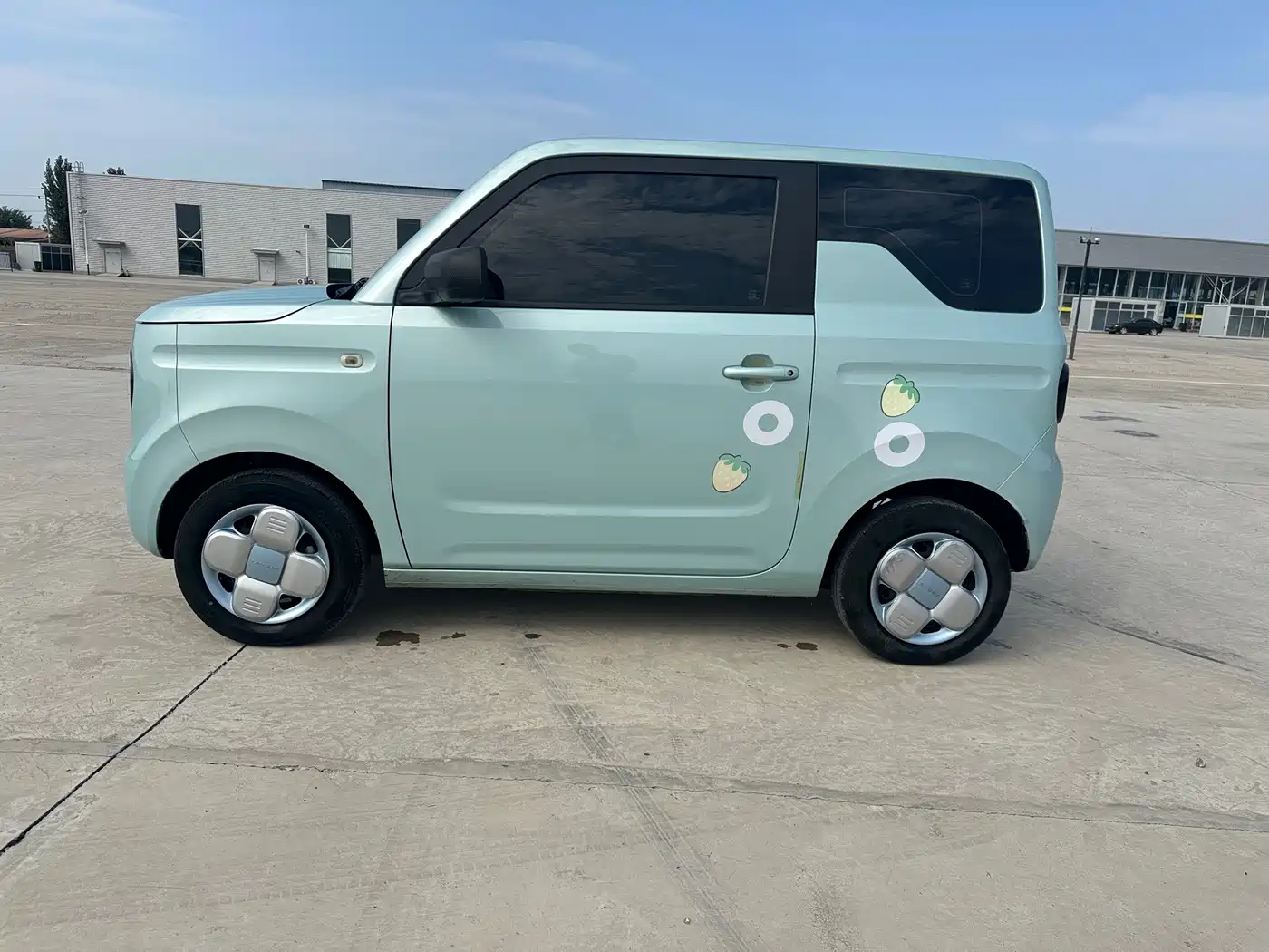 Geely Galaxy Panda 2023 2023 Panda Mini 200km Endurance Bear