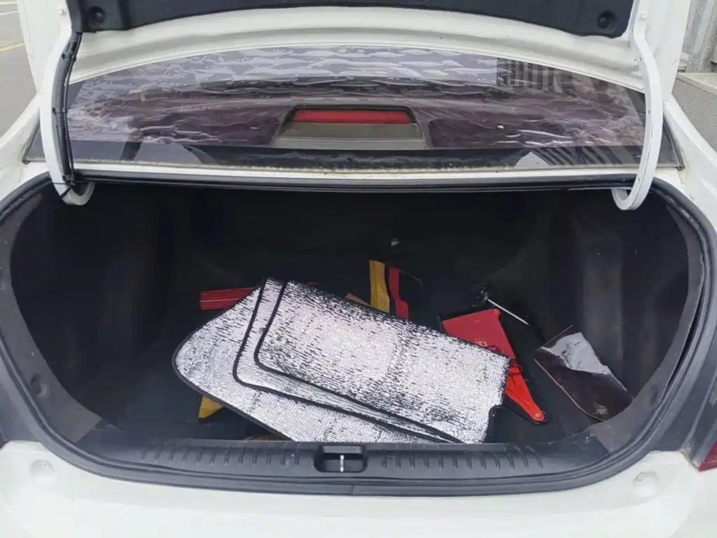 Photo 5 - Geely Vision