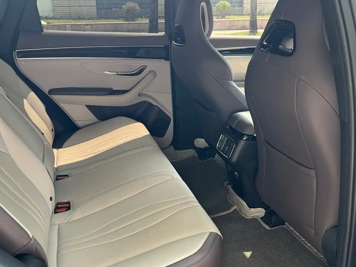 BYD SONGJIANG NEW ENERGY