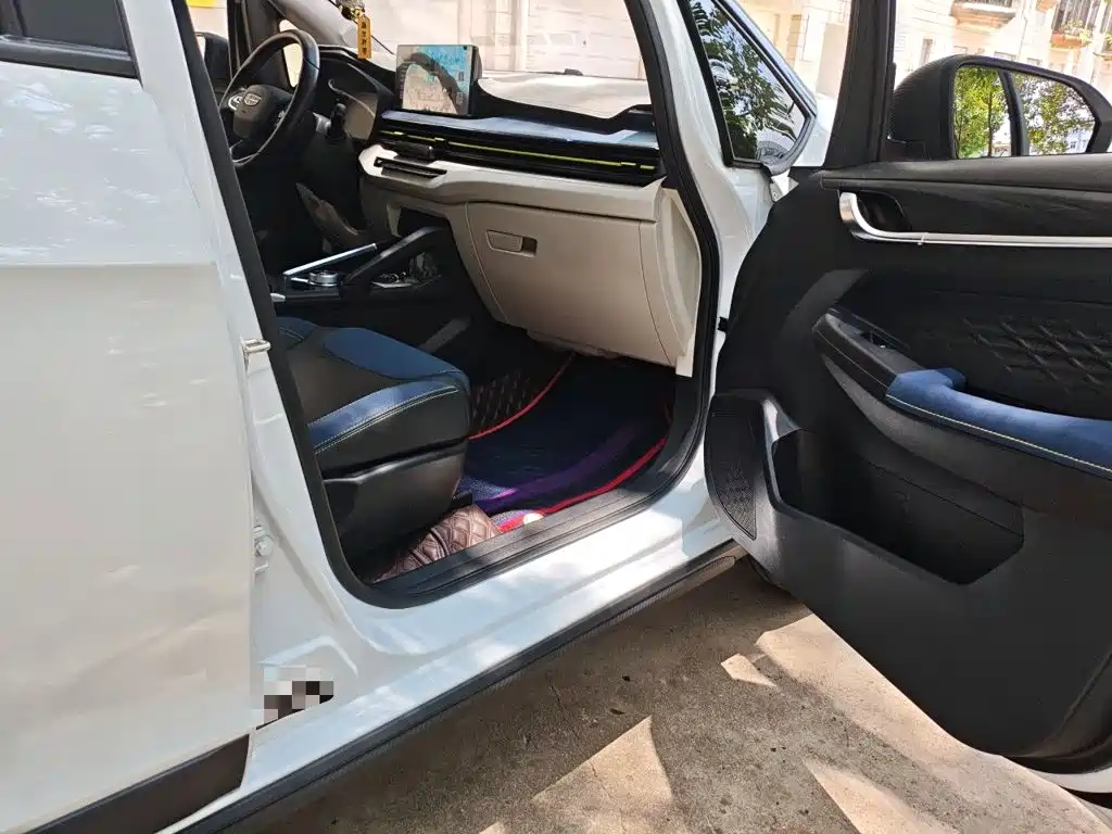 Geely Geometry EX3 Kung Fu Bull 2022 2021 Kung Fu Niu Niu