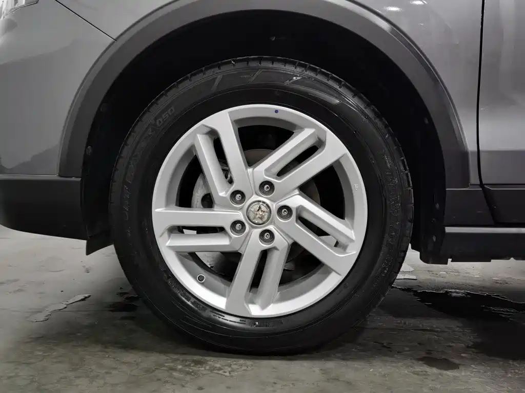 Venucia T60 2023 2022 1.6L CVT Intelligent Drive Edition
