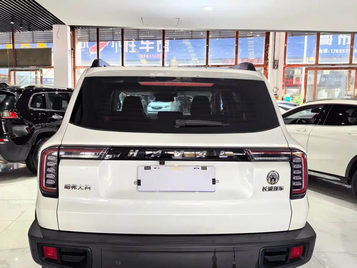 HAVAL BIG DOG