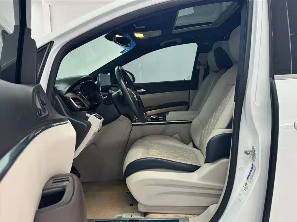 Buick GL8 2020 Model Land Business Class 652T Luxury фото 8