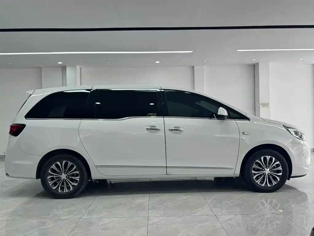 Buick GL8 2020 Model Land Business Class 652T Luxury фото 11