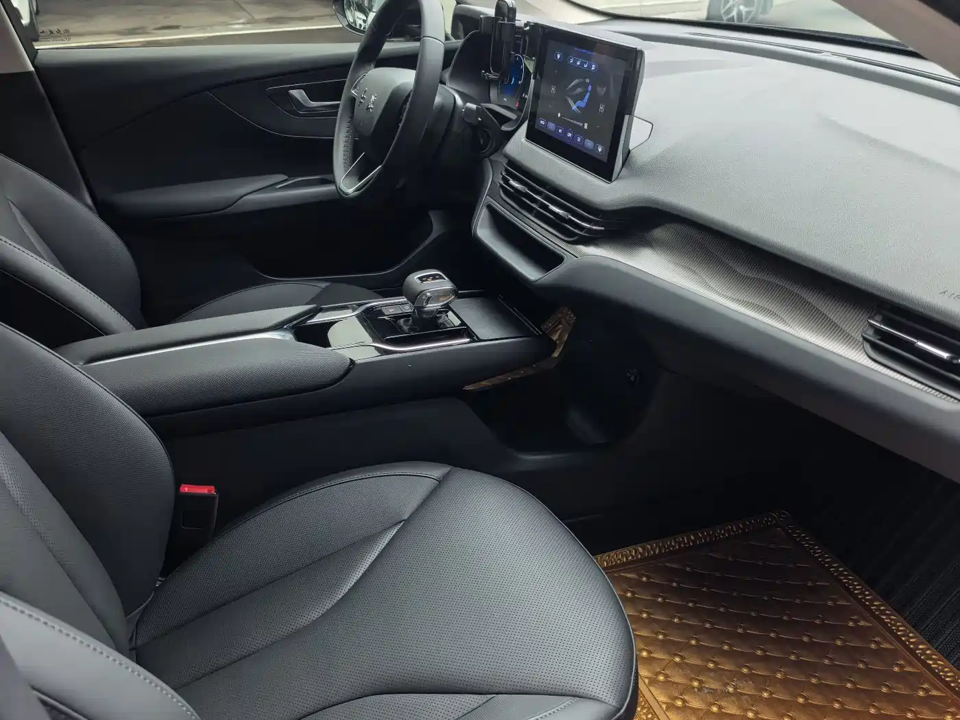 Hongqi E-QM5 2022 431km Charging Enjoyment Edition фото 11