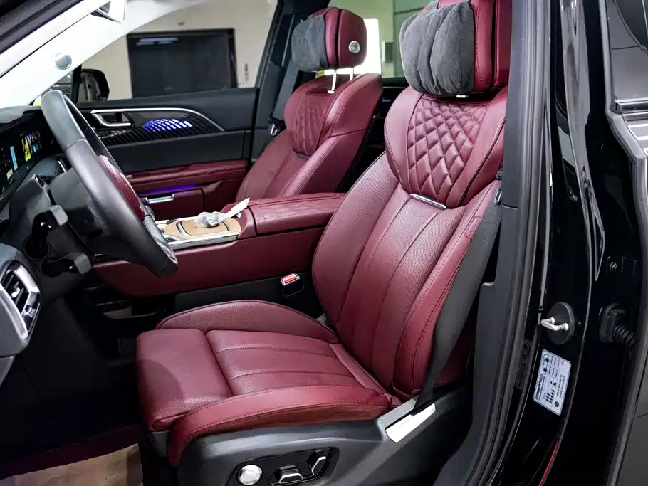 Photo 24 - Hongqi E-HS9