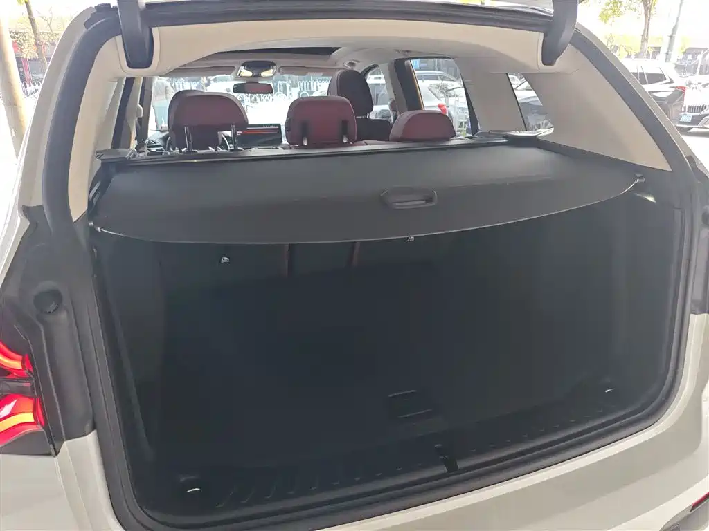 BMW X3 2022 xDrive30i Leading M Night Package фото 19