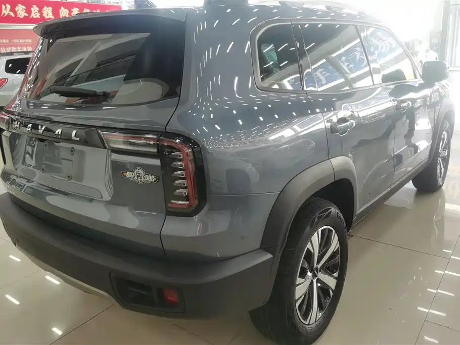 Haval Big Dog 2021 1.5T DCT 2WD Labrador Edition фото 3