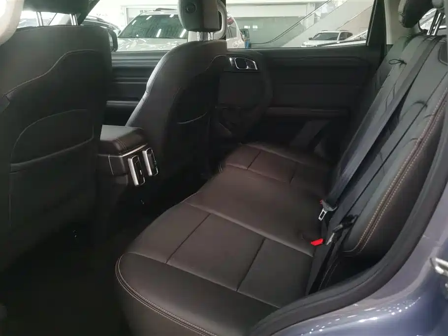Haval Big Dog 2021 1.5T DCT 2WD Labrador Edition фото 11
