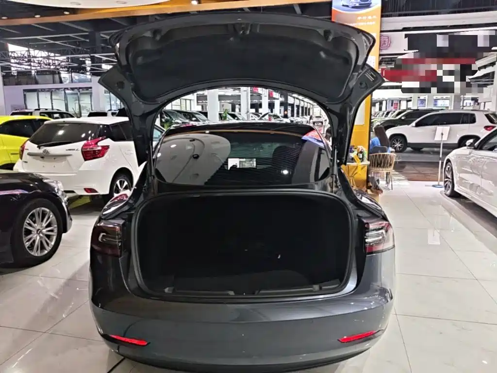 Tesla Model 3 2020 2019 Standard Range Rear-Wheel Drive Upgrade