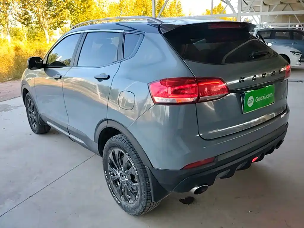 2019 Haval H2s