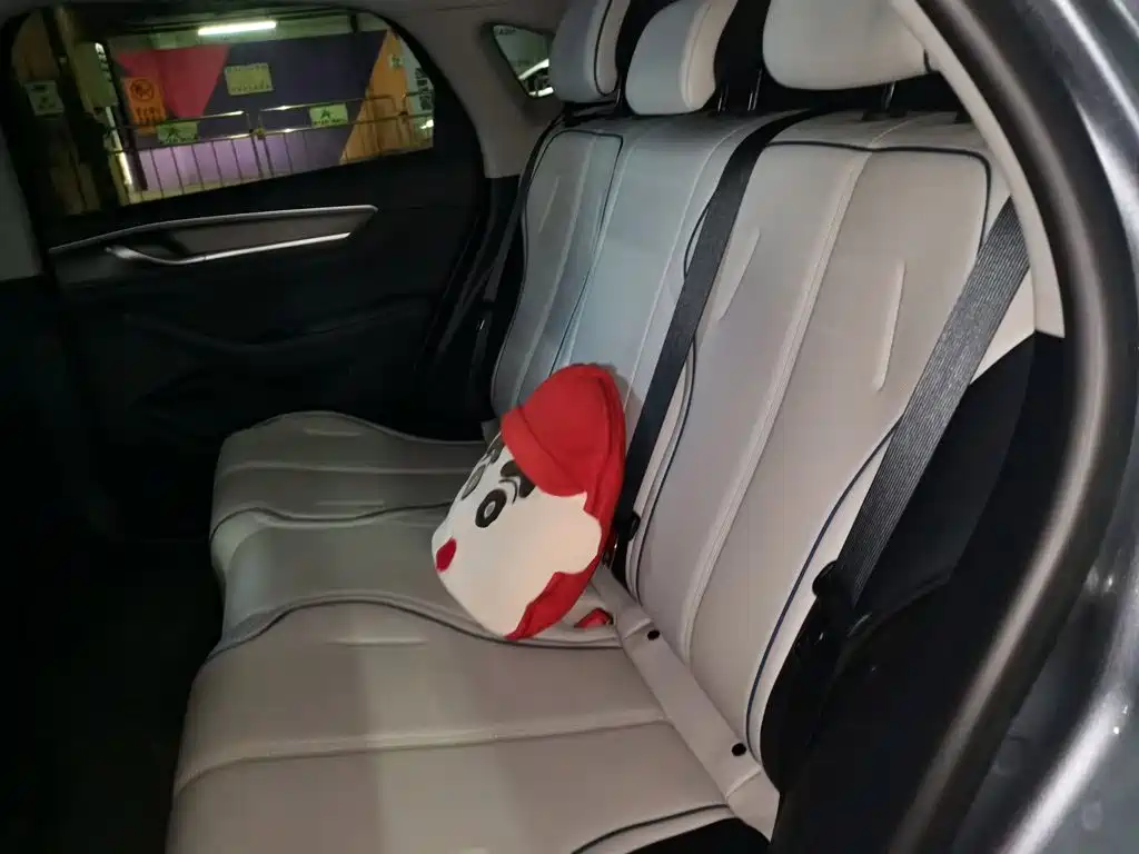 BYD Destroyer 05 2025 2024 Glory Edition DM-i 55KM Luxury
