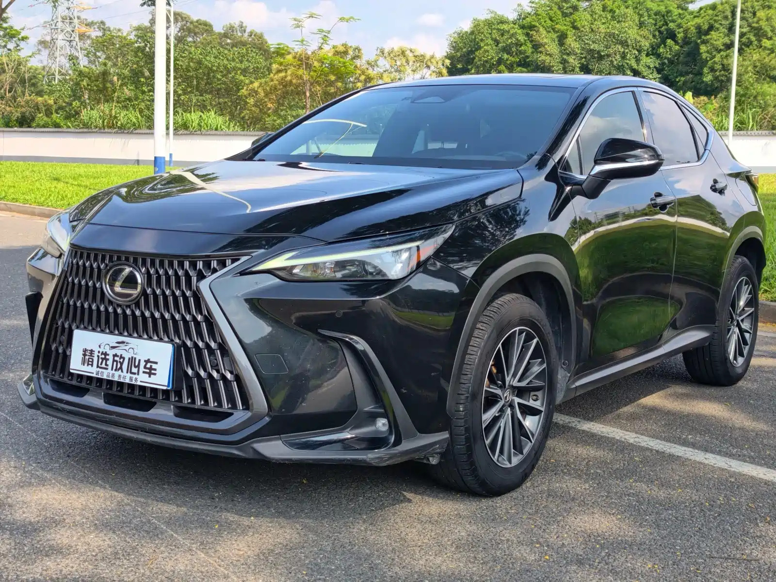 Фото 1 - Lexus NX