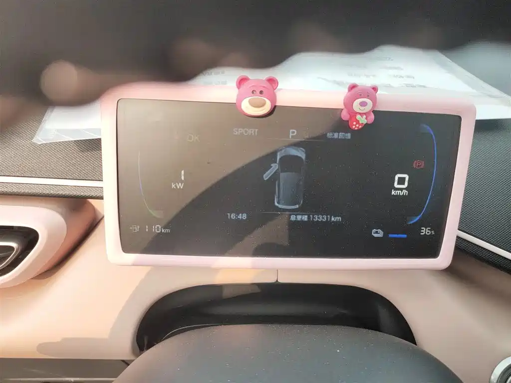 BYD Seagull 2024 Glory Edition 305km Freedom Edition фото 12