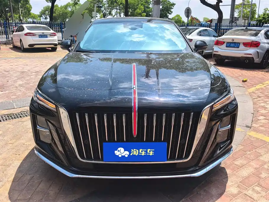 Hongqi H5 2024 2.0T Automatic Smart Connect Flag Smooth Edition фото 2