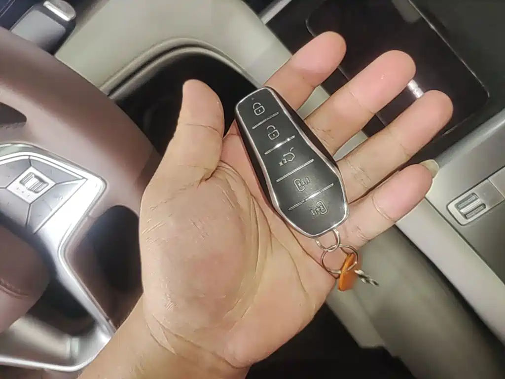 BYD Xia 2025 2025 DM-i 1.5T 180km Surpass Edition