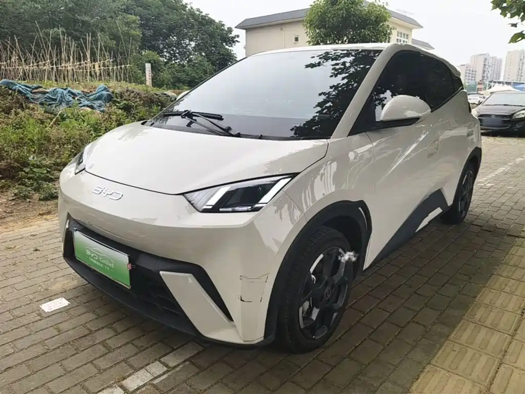 BYD Seagull 2024 Glory Edition 405km Soaring Edition фото 2
