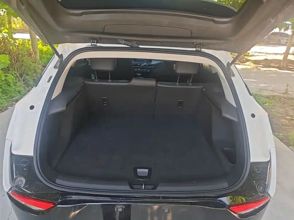 Buick Velite 6 2024 Model 430km Premium Edition фото 19