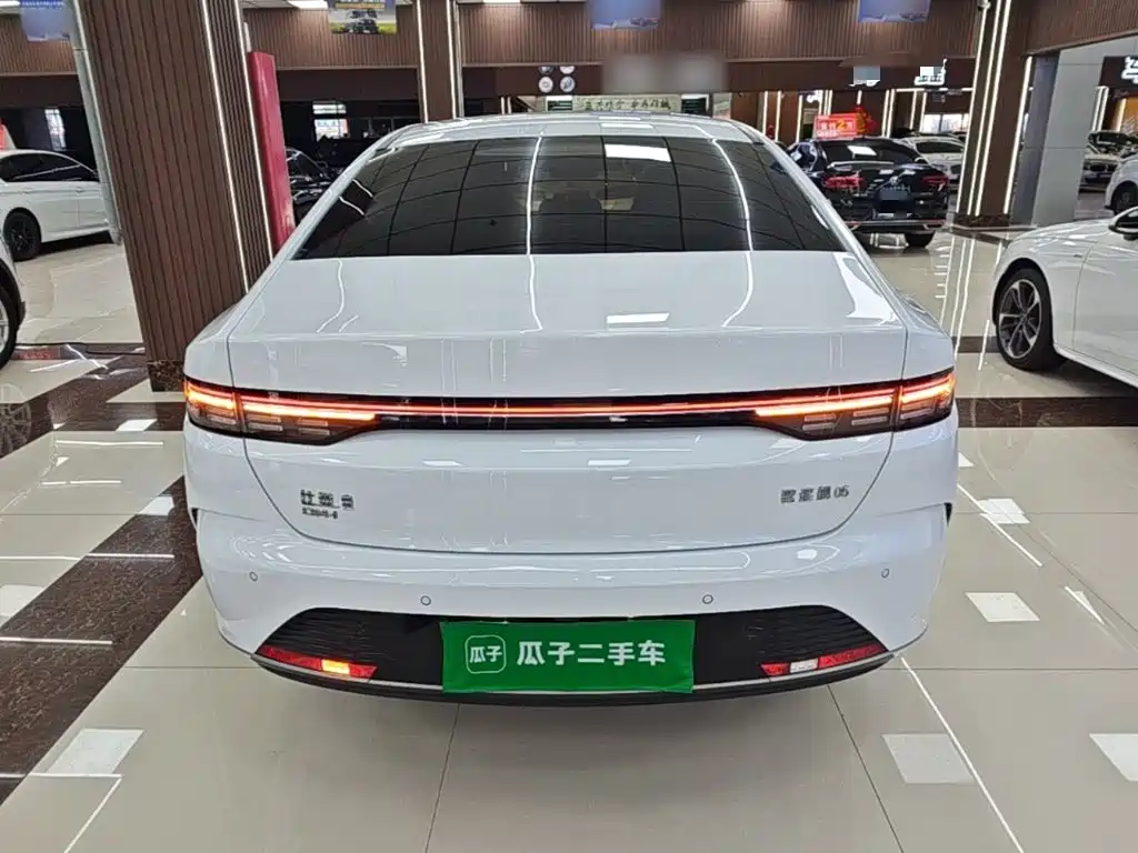 BYD Destroyer 05 2025 2024 Glory Edition DM-i 55KM Luxury