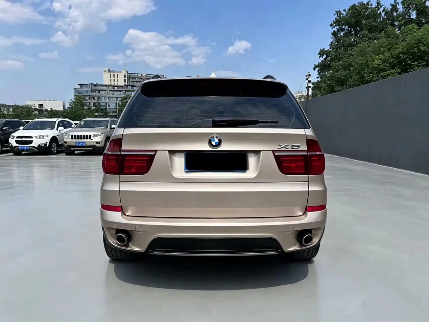 BMW X5 (Import) 2013 xDrive35i Leading фото 5