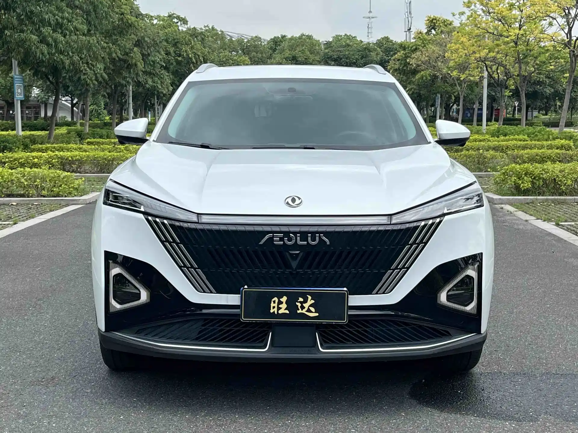 Фото 2 - Dongfeng Aeolus Haohan