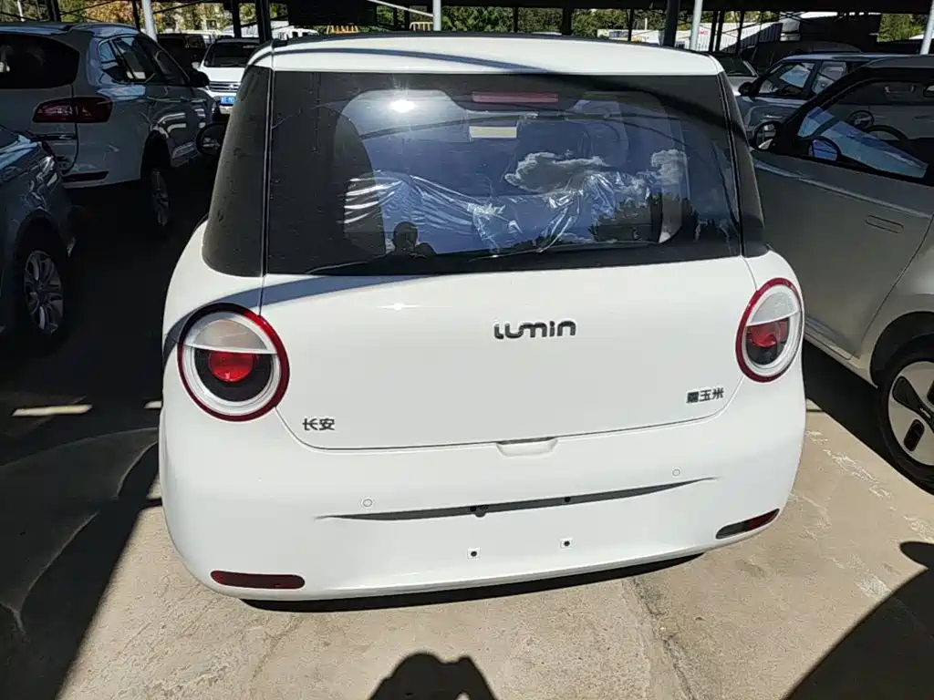 Фото 4 - Changan Lumin