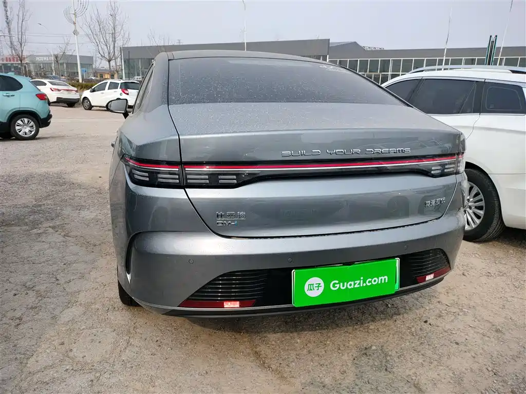 BYD Destroyer 05 2023 Champion Edition DM-i 55KM Luxury фото 6