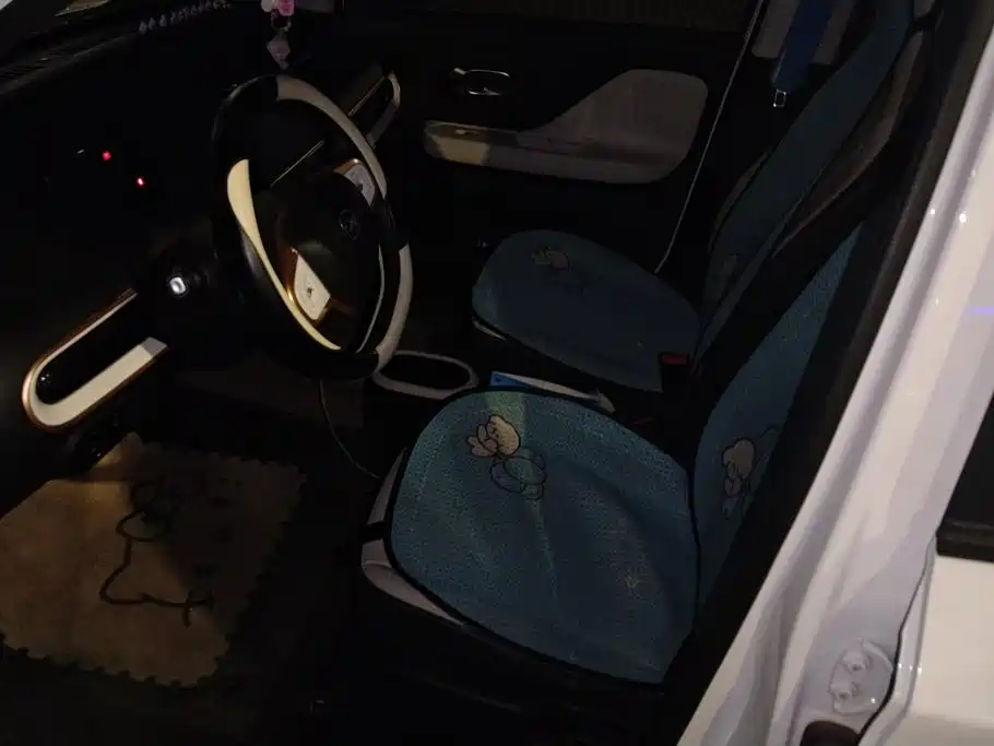 QQ New Energy Duomi 2025 2025 305km Comfort Edition