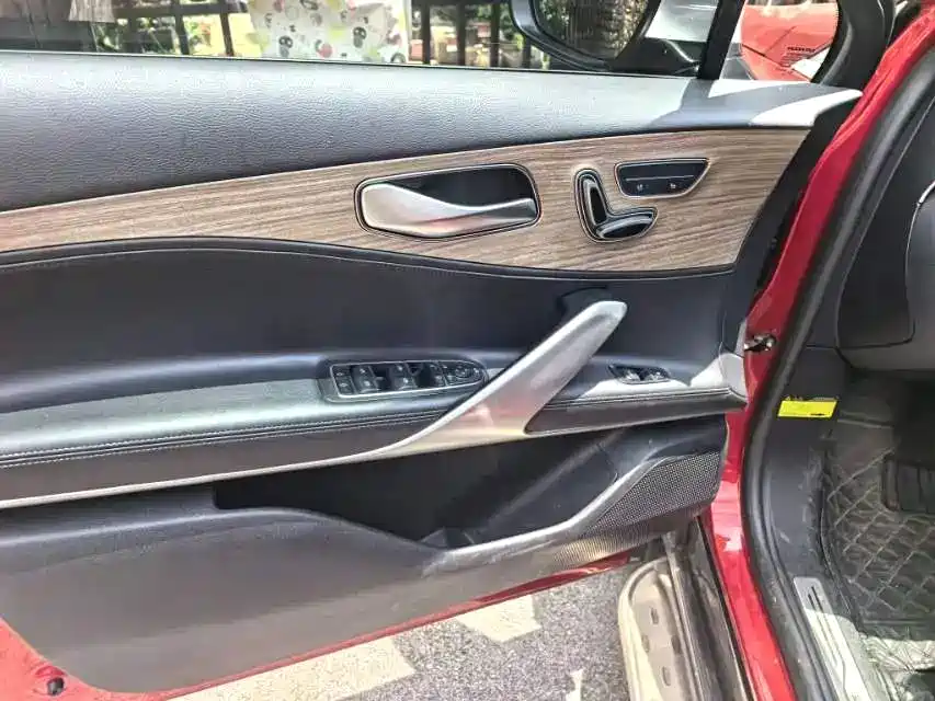 Denza X 2020 PHEV Classic Edition фото 6