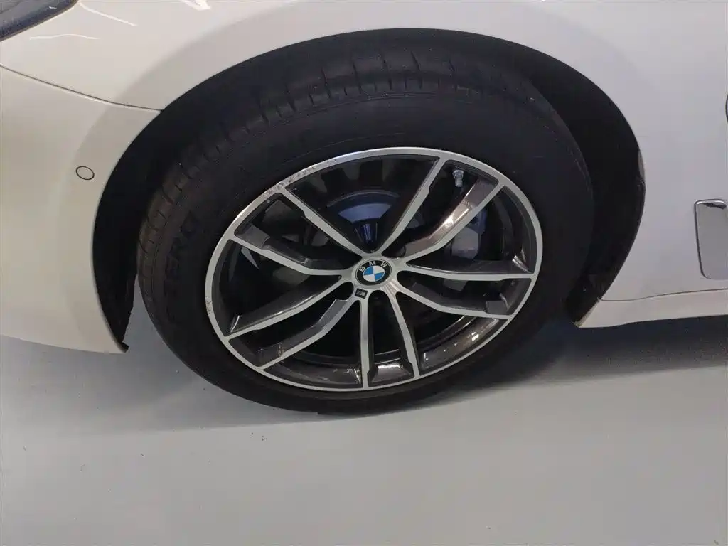 BMW 5 Series New Energy 2021 535Le M Sport Package фото 25
