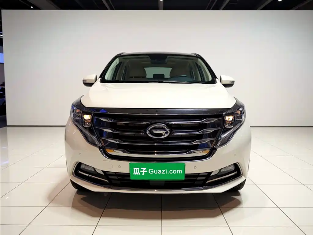GAC Trumpchi Trumpchi M8 2018 320T Flagship Edition фото 24