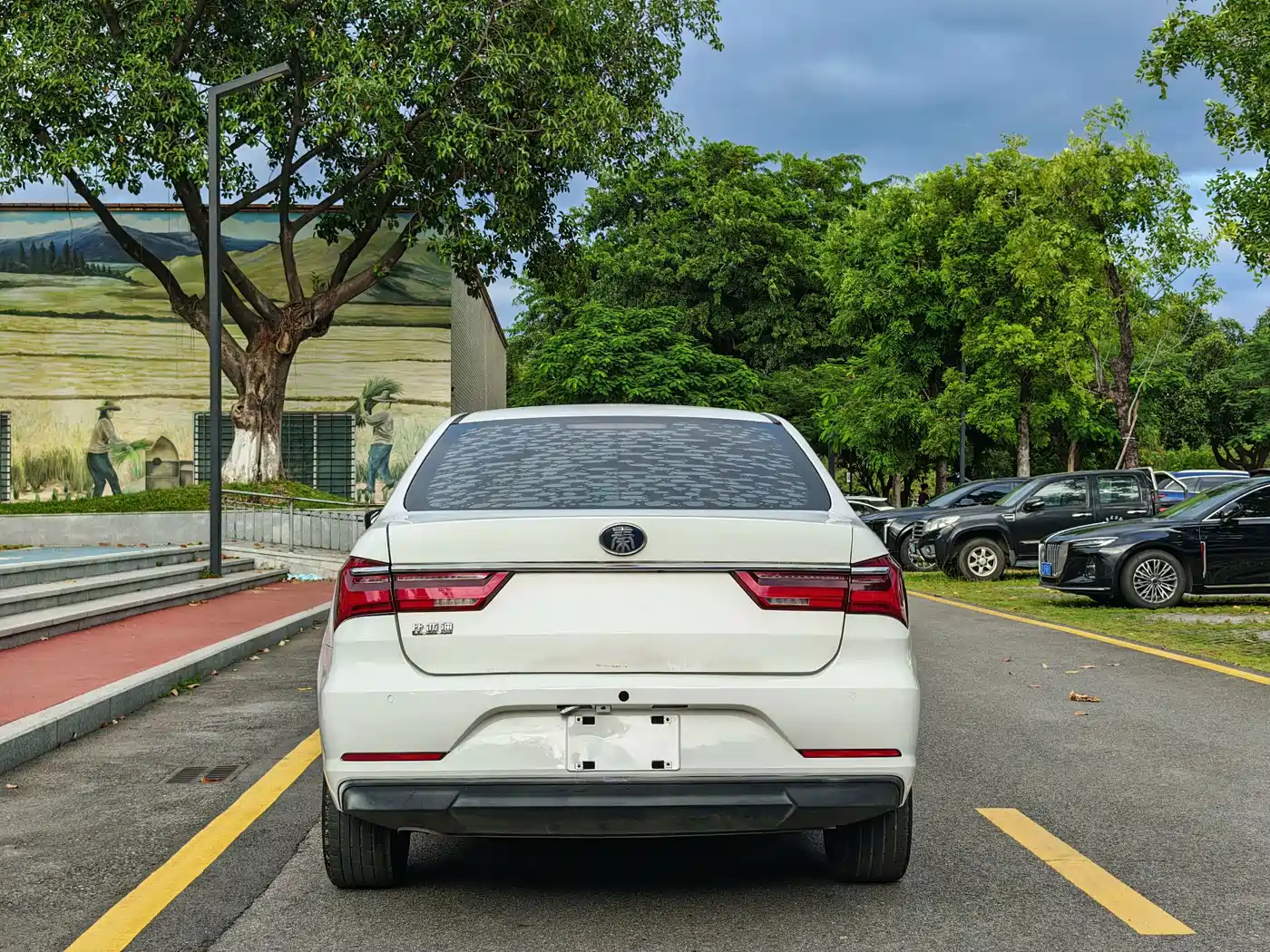 BYD Qin New Energy 2020 2019 Travel Edition