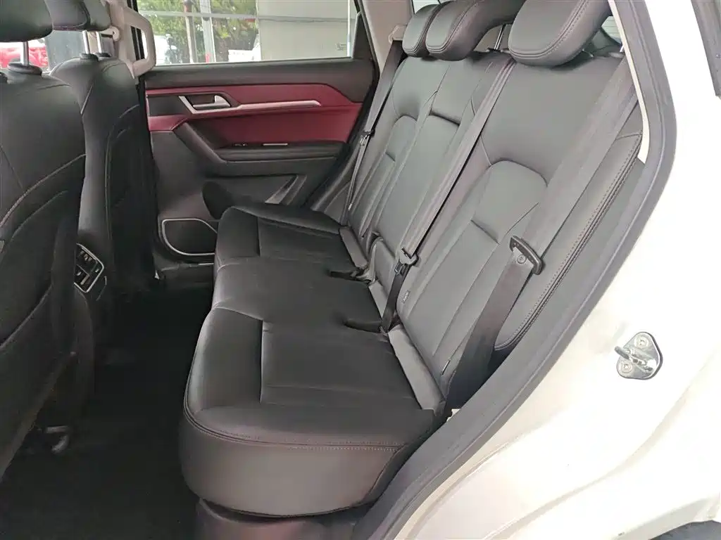 Haval H6 Coupe 2018 Red Label 1.5T Auto 2WD Ultra Luxury фото 17