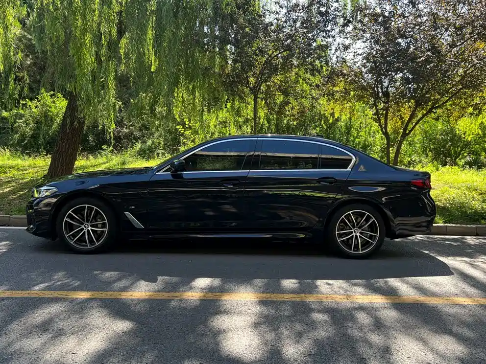 BMW 5 SERIES NEW ENERGY
