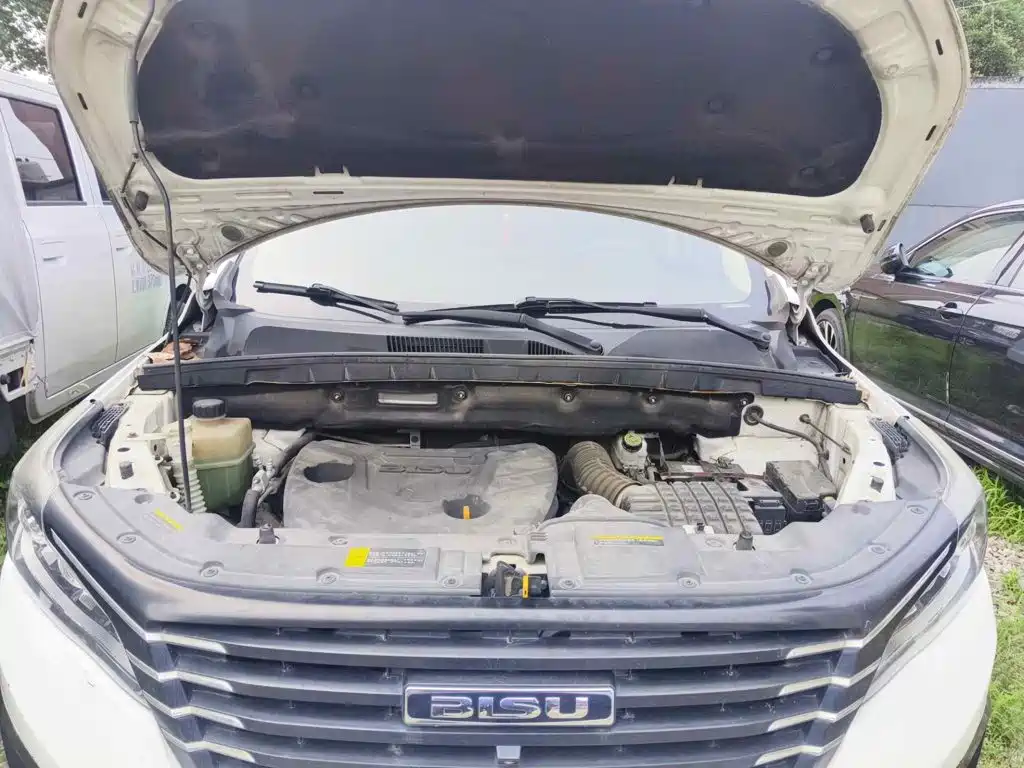 Bisu Auto Bisu T5 2017 2017 1.5T Manual Luxury