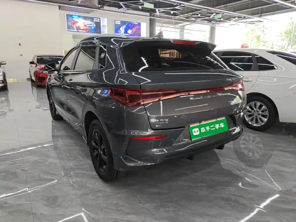 Фото 5 - BYD e2