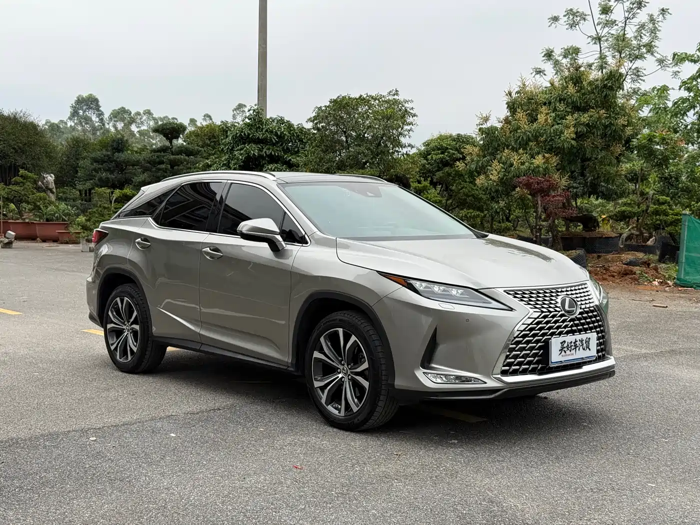 Lexus RX 2021 300 AWD Special Edition фото 3