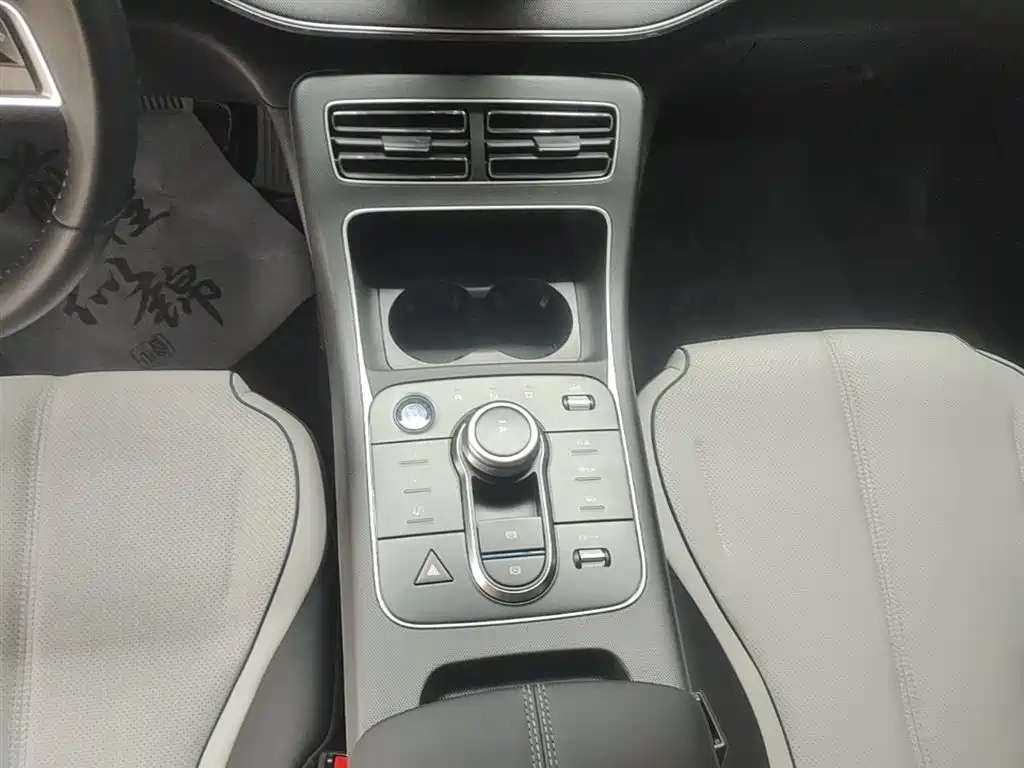 BYD Destroyer 05 2023 Model Champion Edition DM-i 120KM Luxury фото 14